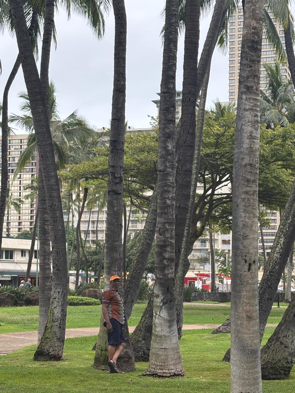 Hawaii — Barry among the palms